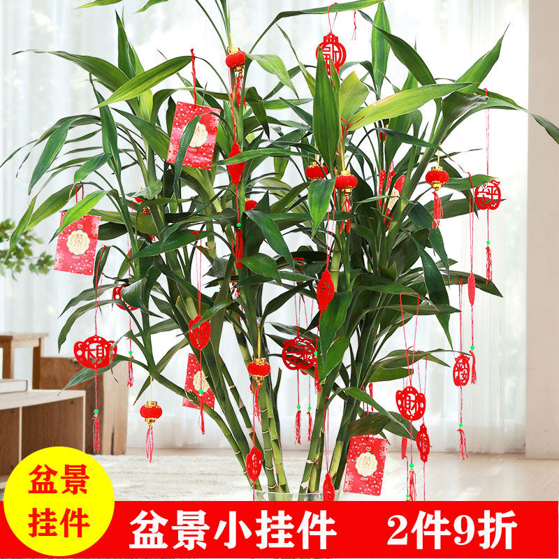 速发小灯笼挂饰树上盆景置迁之喜新居室家结婚搬内户外布乔挂件装