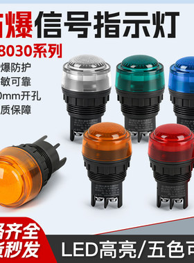 8030防爆防腐电源指示灯信号灯开孔30MM IP65防爆箱指示灯220V