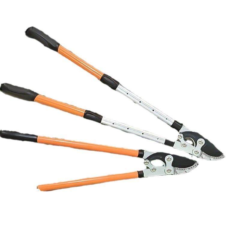 新款粗枝剪高枝剪树枝剪刀果树园艺伸缩大力剪园林专用长杆原装,鲜花速递/花卉仿真/绿植园艺,剪刀,淘宝优惠券,粉丝福利购,淘宝优惠卷