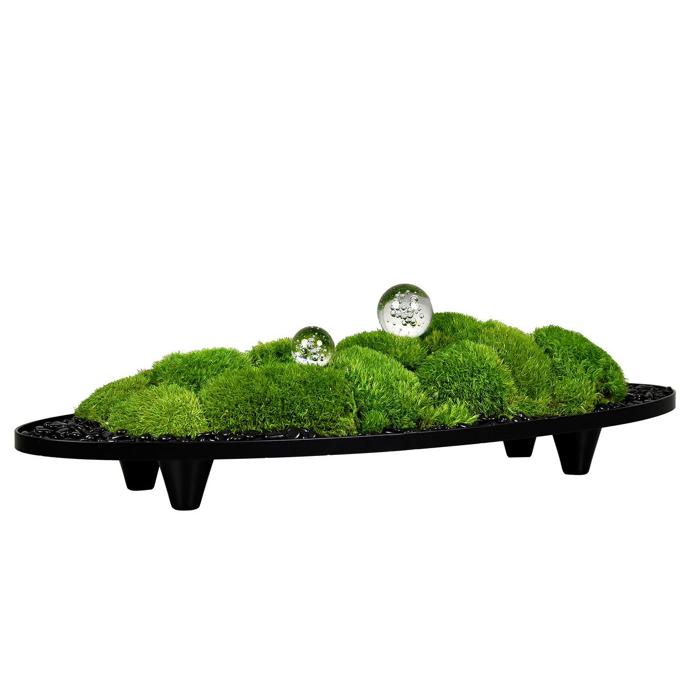 新中式船形入户玄关绿植摆件永生青苔微景观客厅餐桌会议桌装饰品