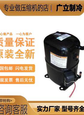 AVA5535EXG AVA5546E AV5535F AG5561F全新进口原装泰康压缩机