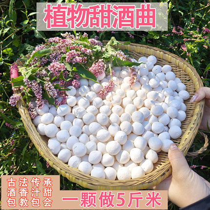 秭归甜酒曲米酒曲做糯米酒醪糟甜酒酿传统植物曲子酵母酒