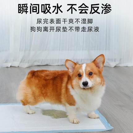 超大号除臭吸水宠物狗狗尿垫诱导因子尿片垫加厚猫咪厕所引导尿片