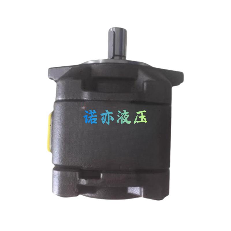 海特克HG2-63-01R-VPC注塑机伺服油泵HG2-80/100/125/145/160-01L