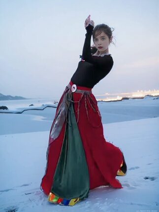 藏族舞蹈演出服装广场舞大摆裙女分体少数民族舞蹈成人艺考表演服