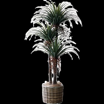 龙血树仿真绿植装饰盆景t大型仿生假树植物盆栽室内酒店橱窗摆件