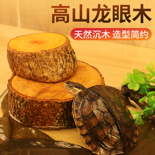 速发乌龟龙眼木晒台沉眼造景件摆免煮龙木叶生态养龟休息晒背爬台