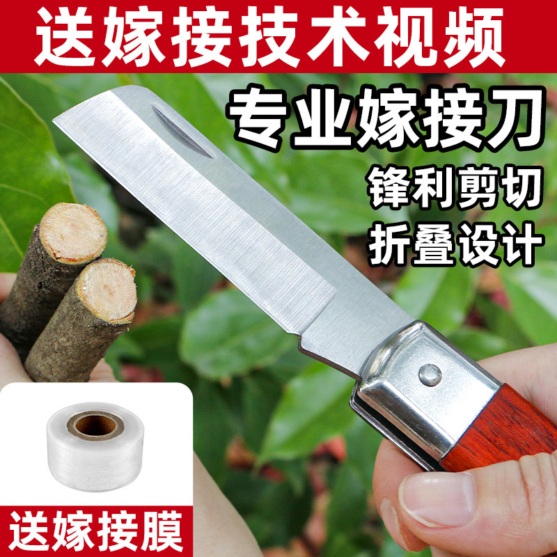 速发锋钢果树嫁接工用刀嫁接神器园艺植物芽接刀专业接树专具