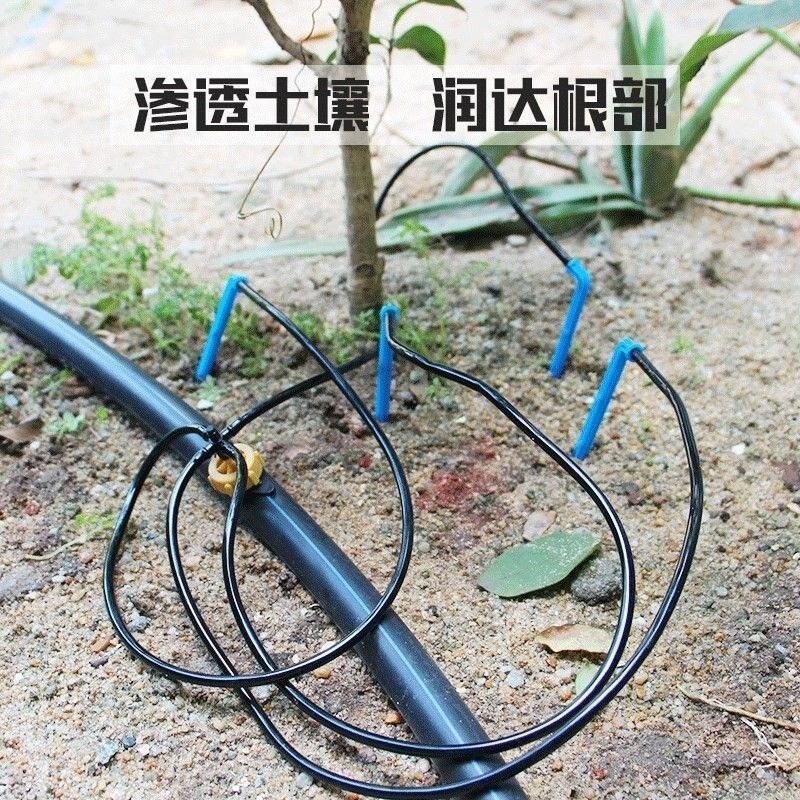 速发滴剑套装一出四二8L稳流器套装滴灌自动浇花器盆栽花卉滴灌滴