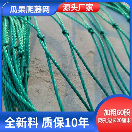速发G爬网网瓜果网百种果网葡萄园网香植网大棚藤吊瓜网豆角网西