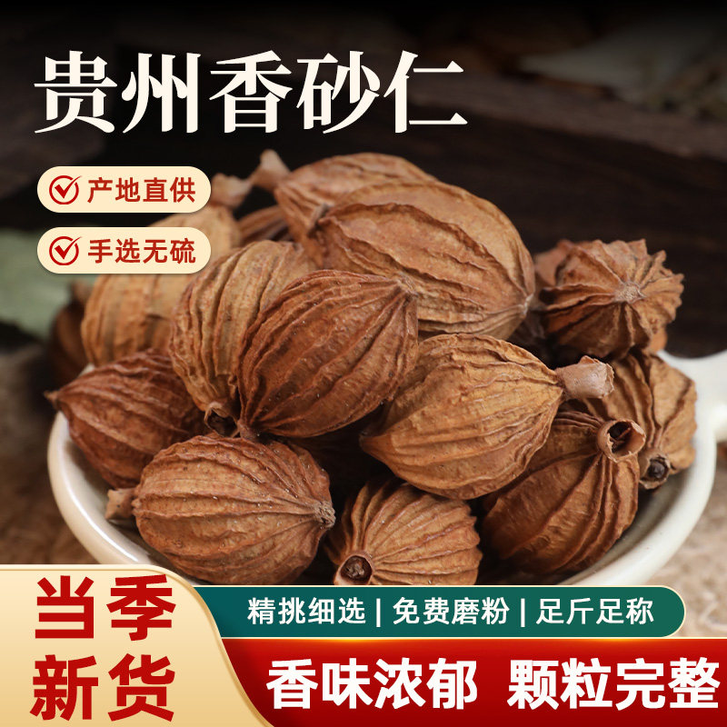 贵州香砂仁干货产地直供手选无硫香味浓郁颗粒完整调味料香料炖煮