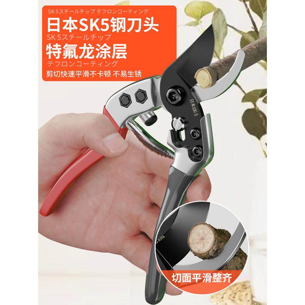 剪树枝专用剪刀修枝剪子园艺树枝修剪花艺园林sk5粗枝剪果树神器,搬运/仓储/物流设备,其他起重搬运设备,淘宝优惠券,粉丝福利购,淘宝优惠卷