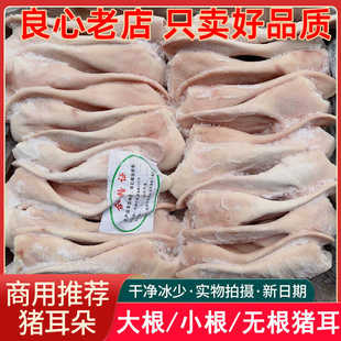 新鲜冷冻带根生猪耳朵整箱商用小根猪耳片无根猪耳尖卤菜饭店食材