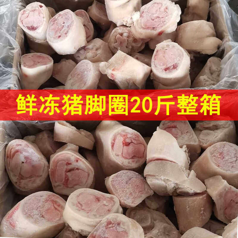 新鲜冷冻猪脚圈20斤整箱商用猪蹄膀猪肘圈干净去毛猪脚粒生猪手块