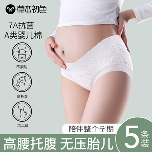 草本初色孕妇内裤 怀孕中晚期专用纯棉高腰托腹医用棉抗菌无痕短裤