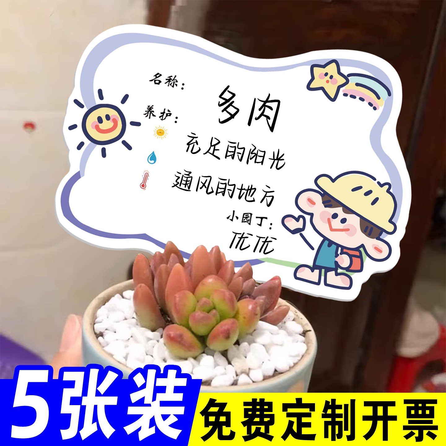 幼儿园植物标签插牌养护卡片盆栽介绍可擦写防水园艺姓名标识牌手写D