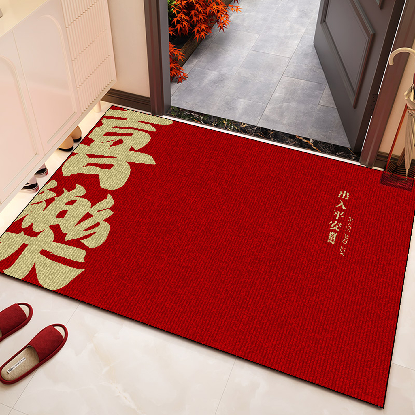 入户门地垫高级感2025新款