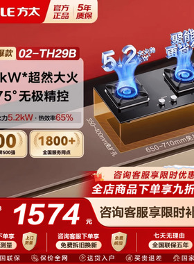 方太02-TH29B燃气灶煤气灶台双灶嵌入式家用天然气液化气灶专卖店