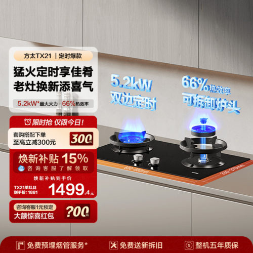 [新品定时款]方太TX21燃气灶