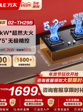 方太02-TH29B燃气灶煤气灶台双灶嵌入式家用天然气液化气灶专卖店