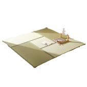 天式 然蔺凉UYA席地地垫日榻榻米垫子任意尺草寸可折叠椰棕飘窗垫