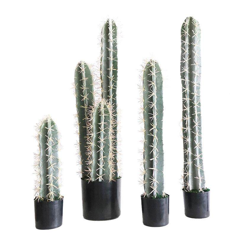 大型仿真仙人掌尺量ICP天室造内橱窗景装饰绿植商场景观物盆景摆,鲜花速递/花卉仿真/绿植园艺,仿真绿植,淘宝优惠券,粉丝福利购,淘宝优惠卷