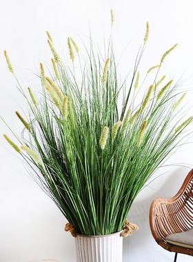 仿芦苇草狗尾LFO巴草假花真物家饰居客厅植会所商场橱窗绿植装摆