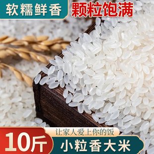 东北大米10斤*袋装正宗小粒王正品大米粳米现磨新米特产批发