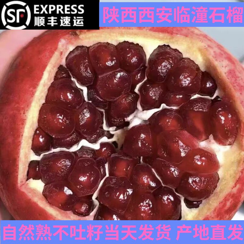 顺丰包邮陕西西安临潼突尼斯大粒软籽黑美人石榴老品种红皮酸石榴