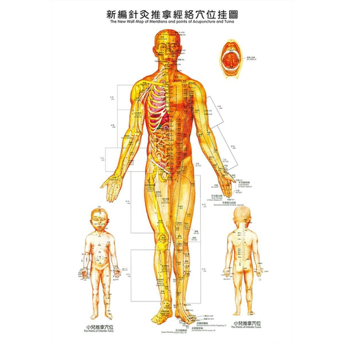 中医养生馆挂画理疗诊所宣传海报背景墙面壁画针灸拔罐推拿装饰画