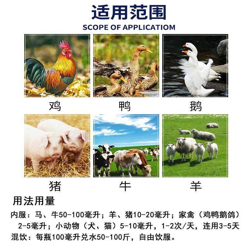 能量应激安兽用应激素牛羊马猪抵抗应激中暑虚脱吐白沫补体能H