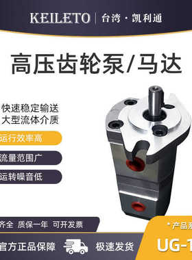 UG-11A-F11R/F22R/F33R/F44/F55/F66/F88R-X2-2B液压齿轮泵双联泵