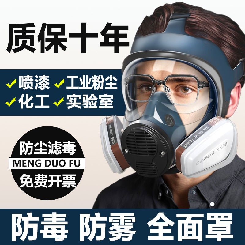 放毒防毒面具全面罩硫化氢化工气体实验室防尘全脸防护喷漆专用