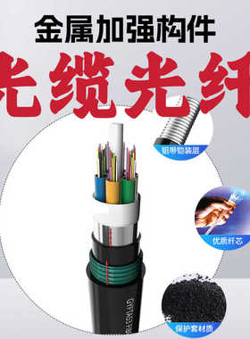 光缆6 8 12 24 48 64 72 96多144GYTA288芯光纤铠装室外单模GYTS4