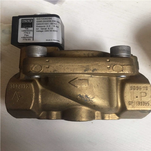 汇生 G040 Innovative GO1006094 议价 GSR