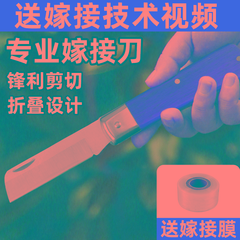 果树嫁接专用刀膜可折叠嫁接神器工具全套大树苗稼接树架接手工刀