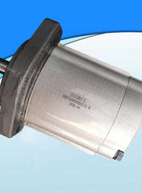 SUORUI齿轮泵BHP2A0D20H2Z13.R Z12 Z16 Z20 Z25 28 36H2Z13-R