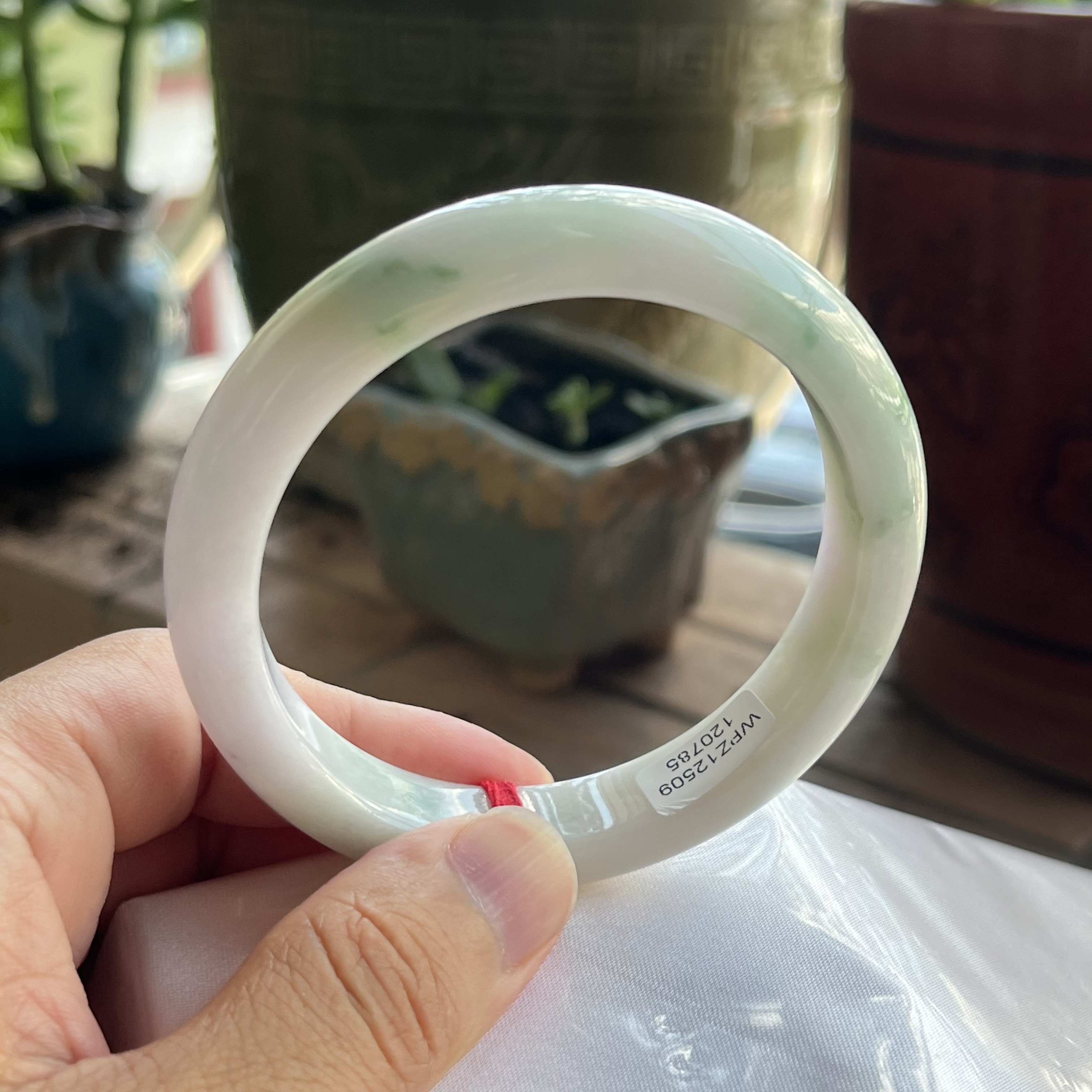 0785天然A货翡翠59.5-12.6-8.6白底青阳绿手镯完美保真