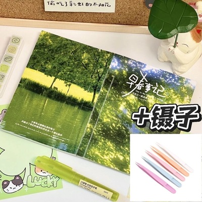 小红书同款早春事记贴纸书ins