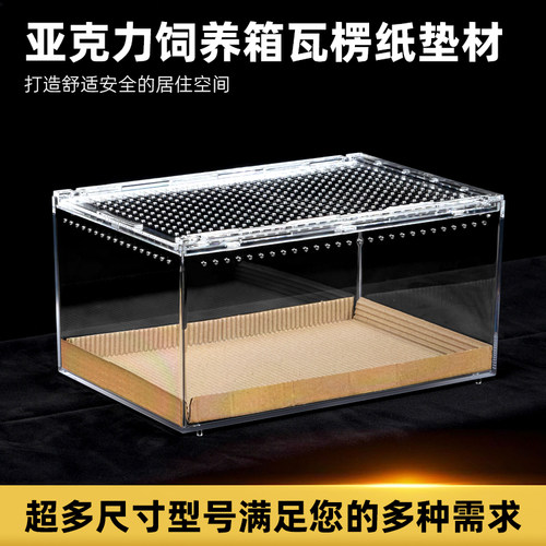 爬宠亚克力爬宠缸瓦楞纸垫材