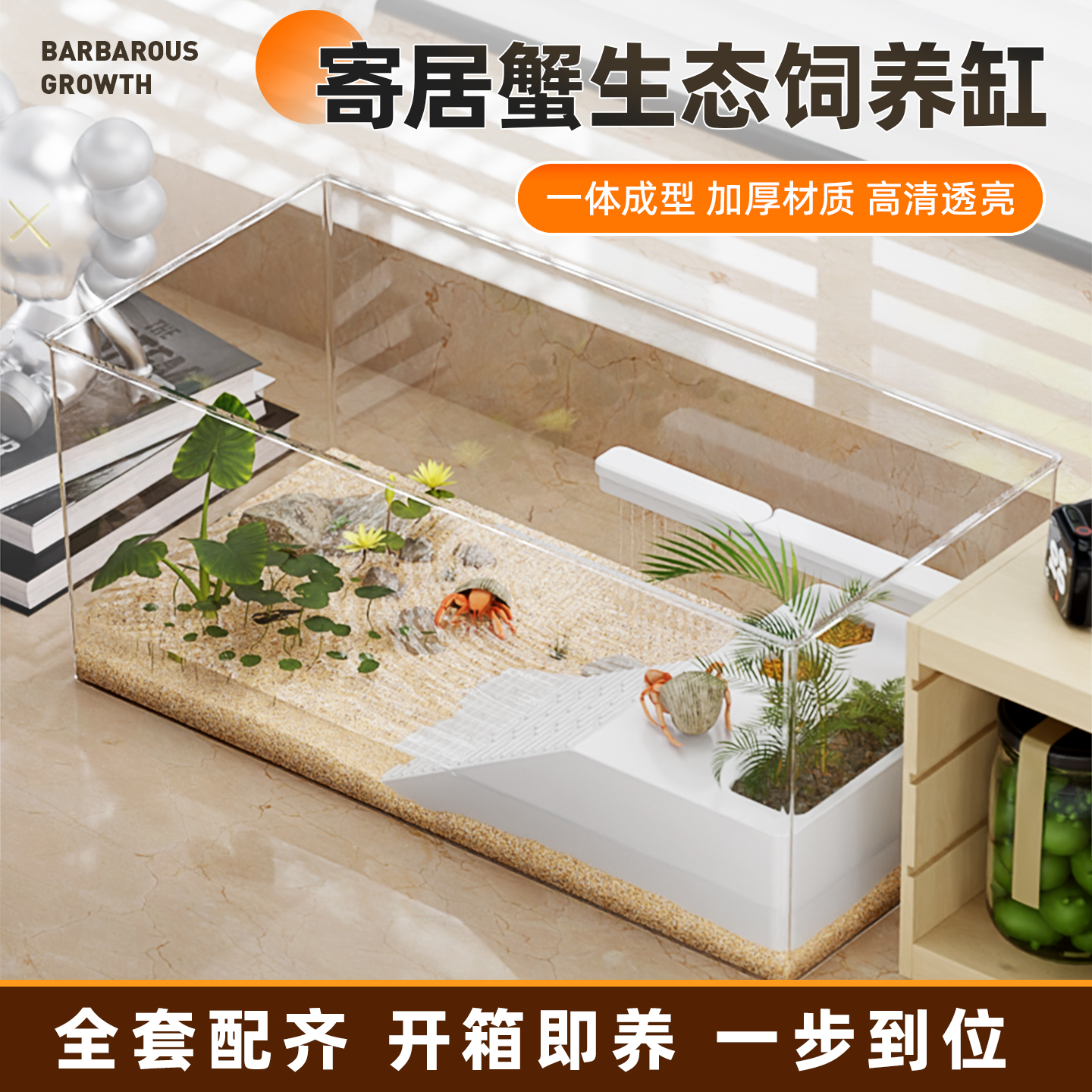 寄居蟹养螃蟹专用缸生态家用