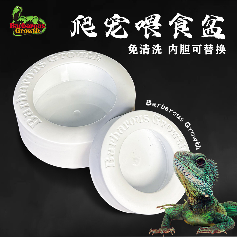 陶瓷爬宠食盆防逃逸守宫蜥蜴