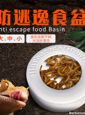 BG爬宠专用喂食盆爬虫活体饲料防逃守宫蜥蜴蜘蛛食盒面包虫大麦虫