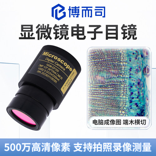显微镜电子目镜高清成像拍照录像