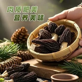 羊肚菌干货美味家用食用菌肉质肥美煲汤食材农家日晒干羊肚菌新货