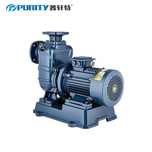 PZQ自吸清水离心泵直联式 厂促普轩特新品 压泵农用灌溉工业抽水泵