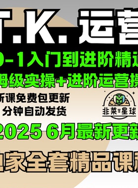 2025TK跨境电商教程店铺出海北美东南亚起号营运自发货洋抖音课程