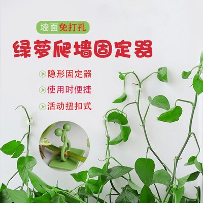 速发绿绿爬墙神器绿箩固定爬上固定夹攀爬挂钩萝罗扣环无痕植绿固