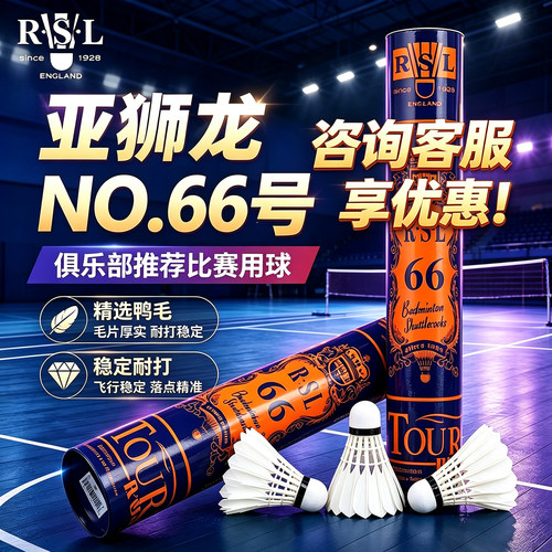 亚狮龙羽毛球NO.66专业耐打训练