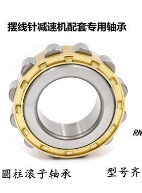 摆线针减速机轴承RN305 306 307 308 309 310 311 312 313 RN328M